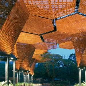 Medellín (Antioquia)