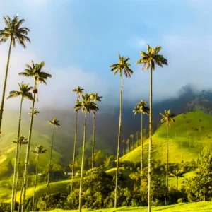 Quindío (Eje Cafetero)